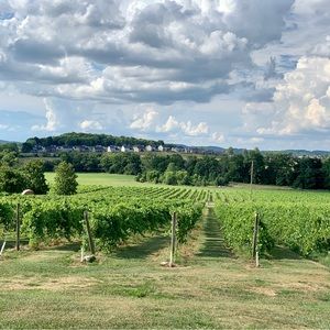 Meet your Posher, Mindy